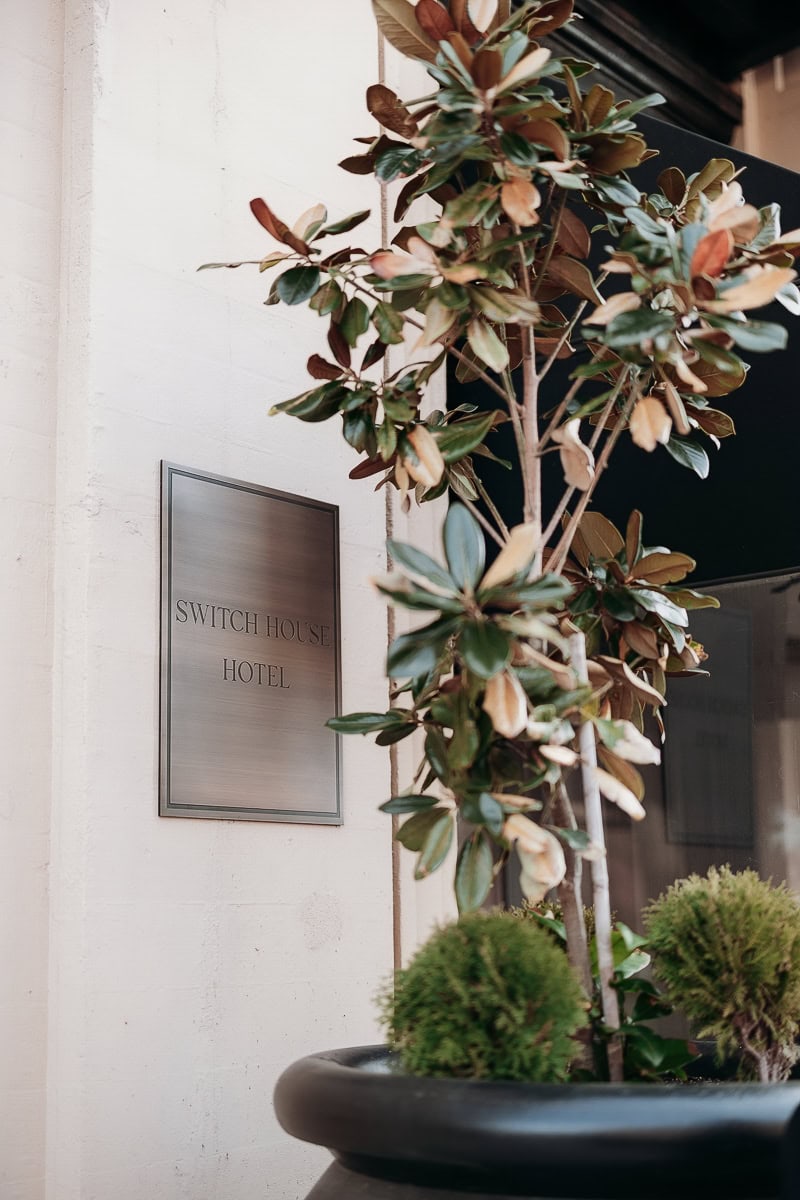 Brushed‑brass Switch House Hotel plaque on a light wall beside magnolia in a black planter at The Switch House by Cescaphe entrance, Philadelphia.